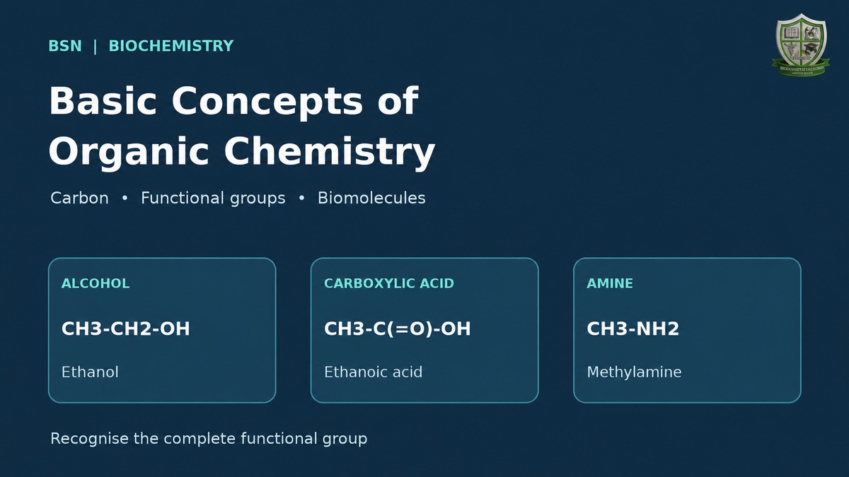 Basic Concepts of Organic Chemistry: ethanol, ethanoic acid and methylamine functional groups