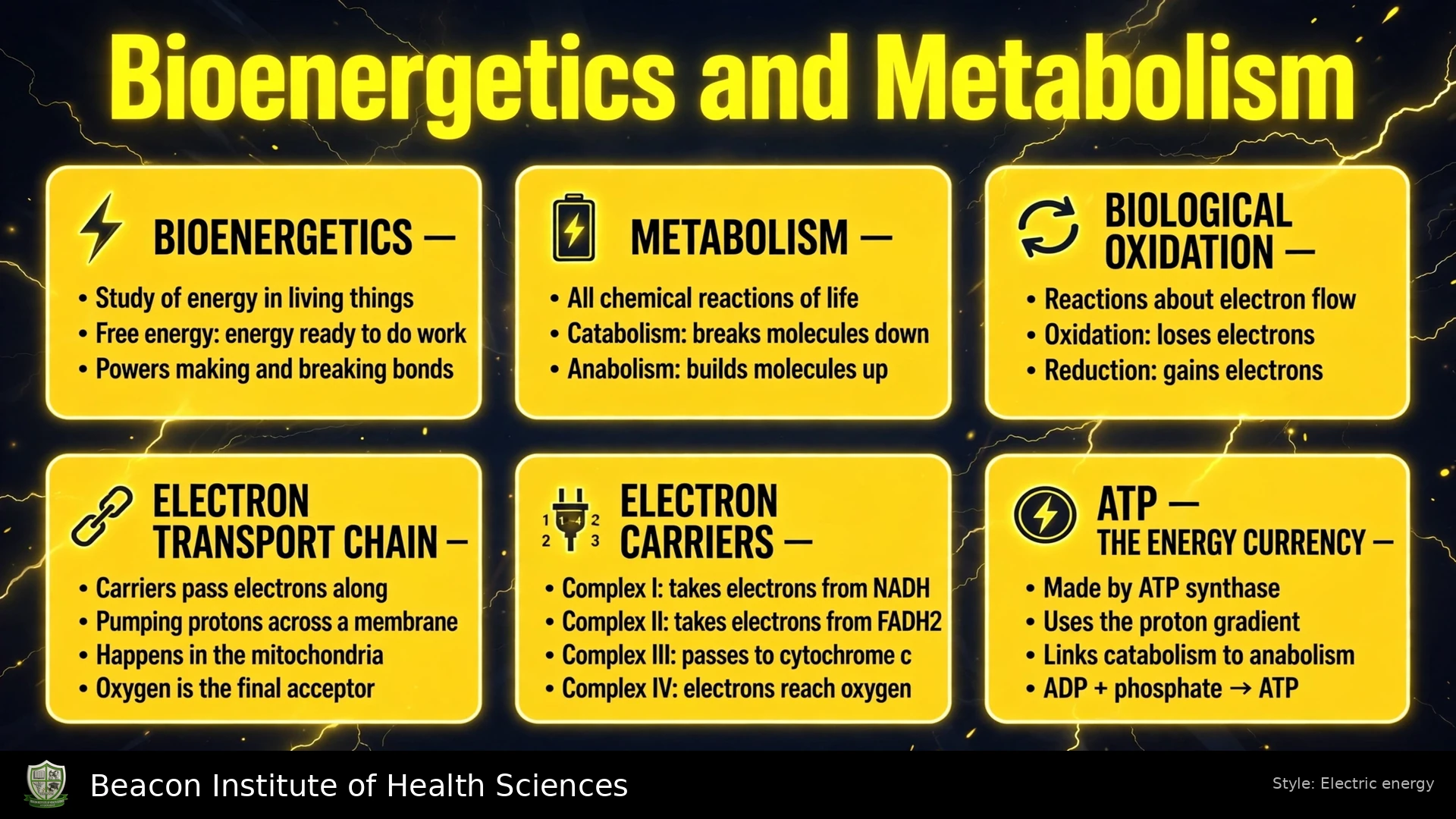 Bioenergetics and metabolism infographic: free energy, catabolism, anabolism, redox reactions, electron transport and ATP synthesis
