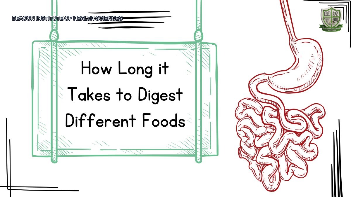 How Long it Takes to Digest Common and Simple Foods