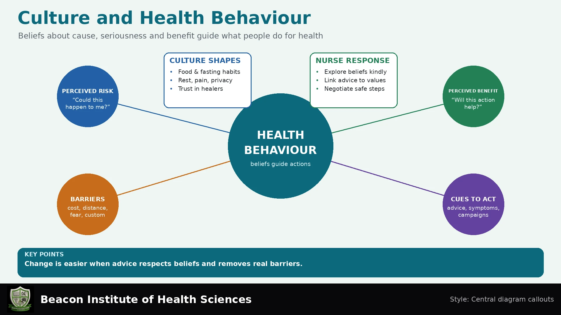 Culture and Health Behaviour Infographic