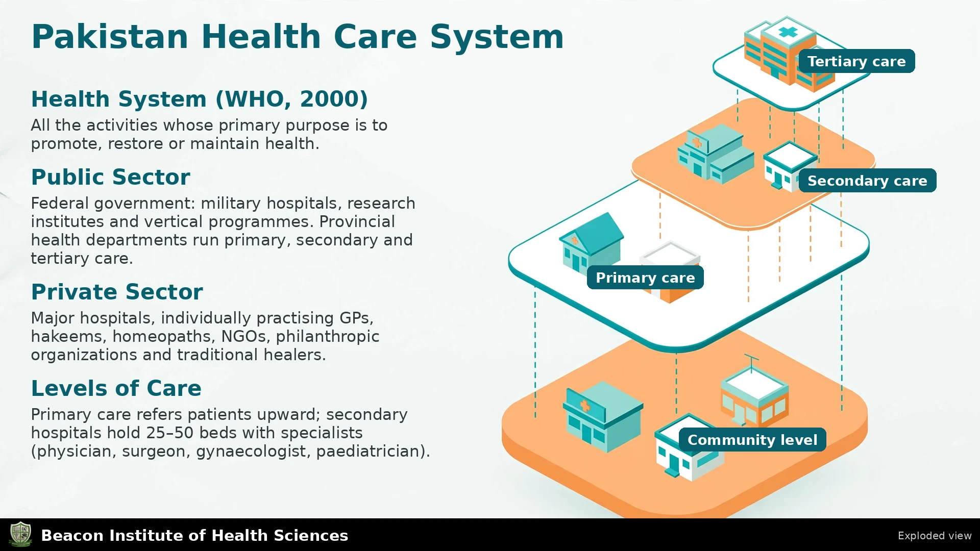 Pakistan Health Care System Infographic