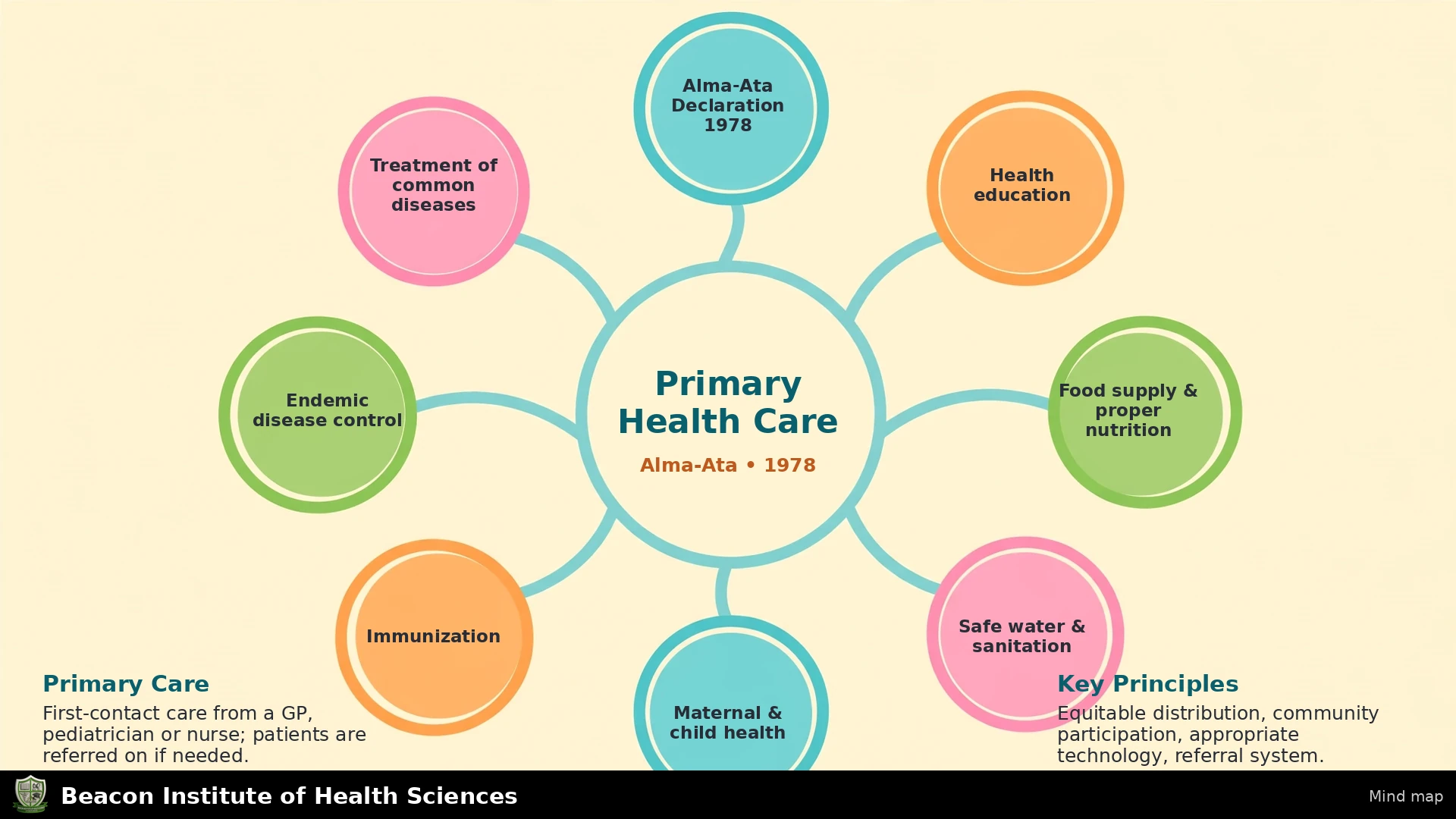 Primary Health Care Infographic