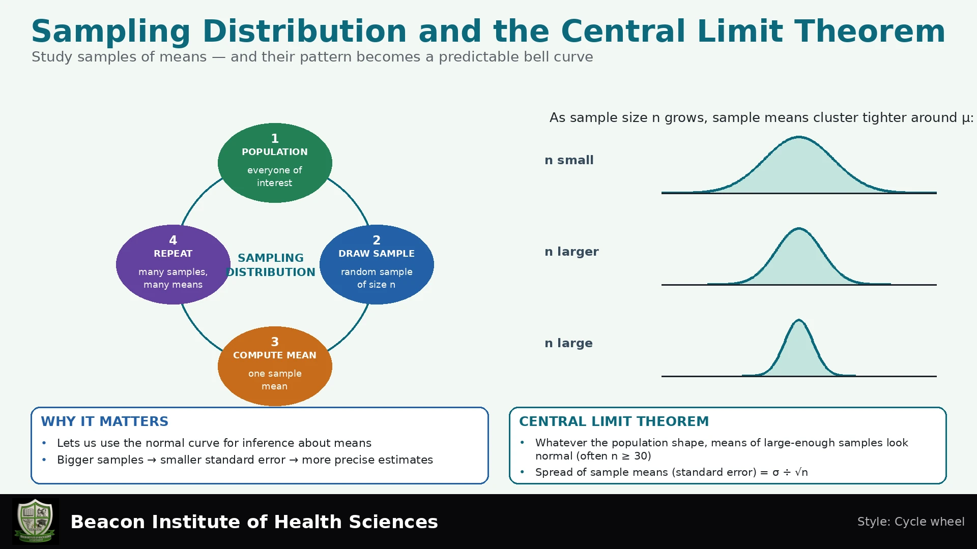 Sampling Distribution and the Central Limit Theorem Infographic