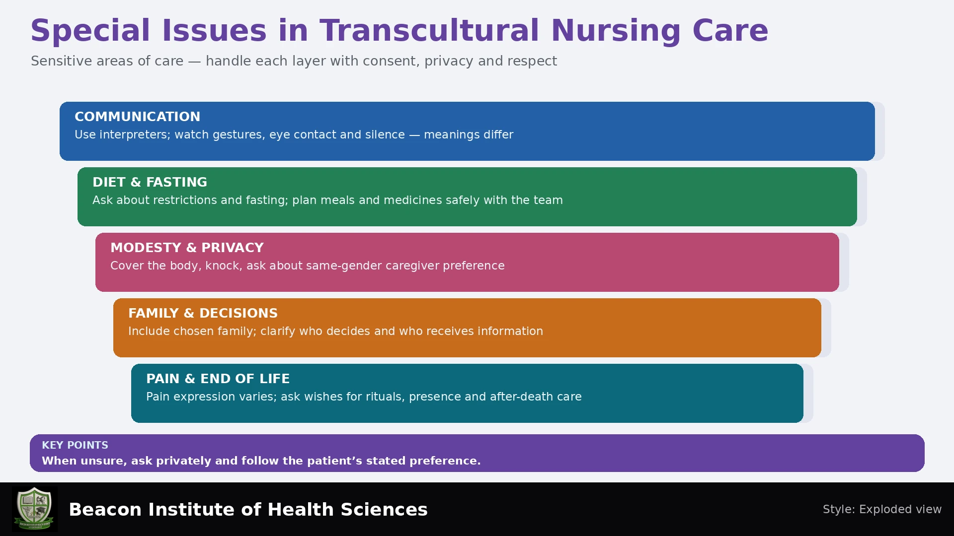 Special Issues in Transcultural Nursing Care Infographic