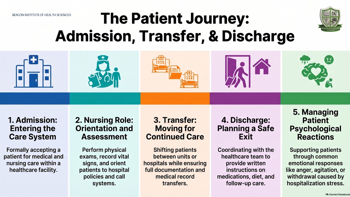 Process of Hospitalization in Nursing: Admission, Transfer and Discharge
