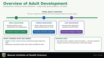 Overview of Adult Development Infographic